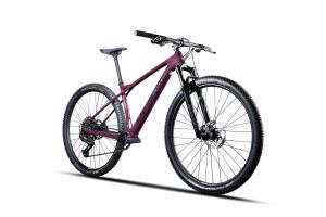 Obr�zok_(3)