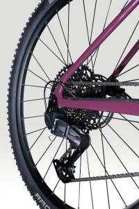 Obr�zok_(7)